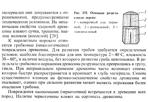 Основные сведения о строении древесины