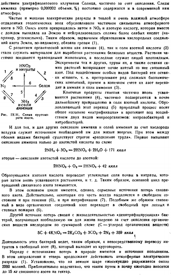 Круговорот азота