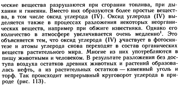 Круговорот углерода в природе