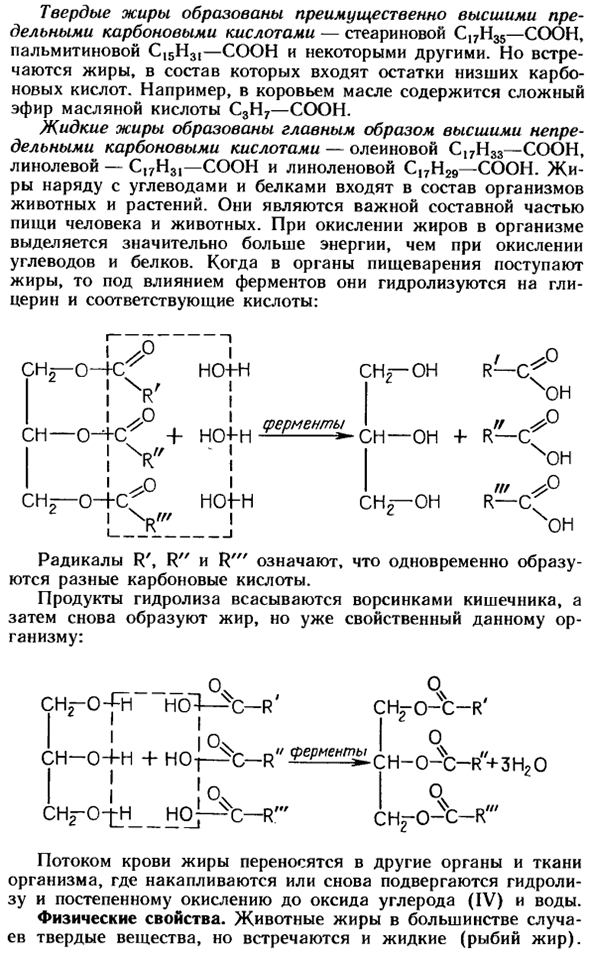 Жиры