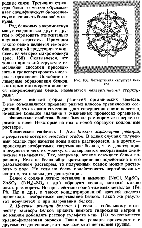 Белки