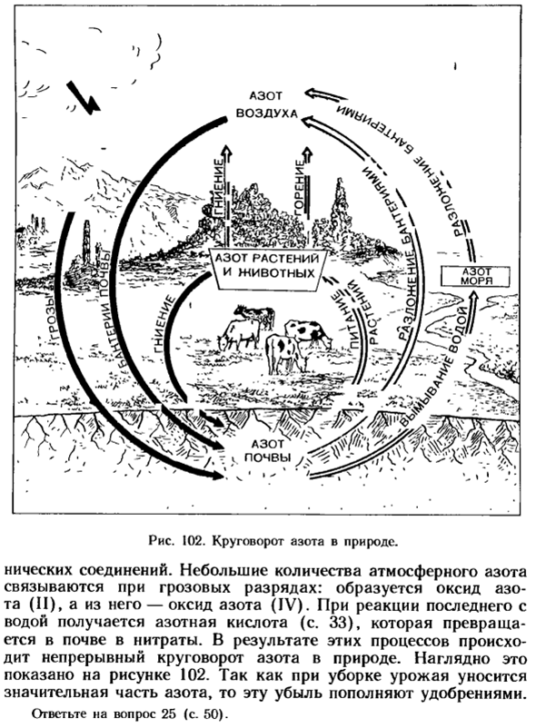 Круговорот азота в природе