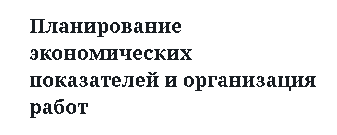 Планирование экономических показателей и организация работ 