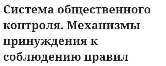 Система общественного контроля. Механизмы принуждения к соблюдению правил  