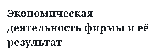 Экономическая деятельность фирмы и её результат 