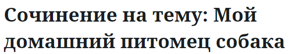 Сочинение на тему: Мой домашний питомец собака