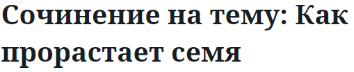 Сочинение на тему: Как прорастает семя