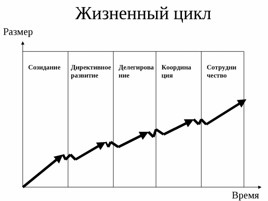 Характеристика системы менеджмента на различны: стадиях жизненного цикла организации - Основная концепция жизненного цикла предприятия