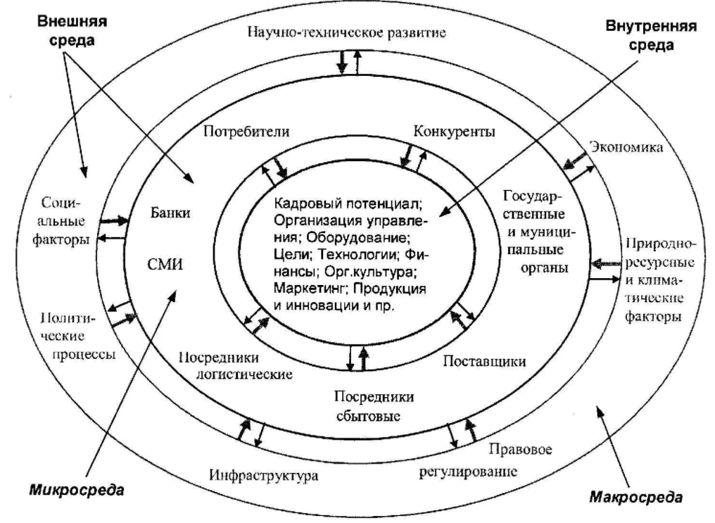 Внутренняя среда риск-менеджмента торговой организации - Внутренняя среда организации