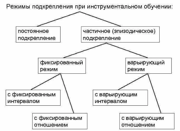 Теория оперантного научения