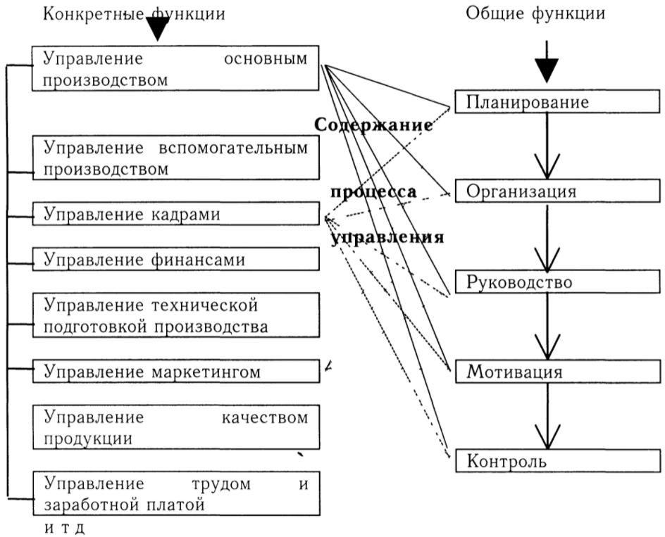 Классификация функций управления - Управление и менеджмент