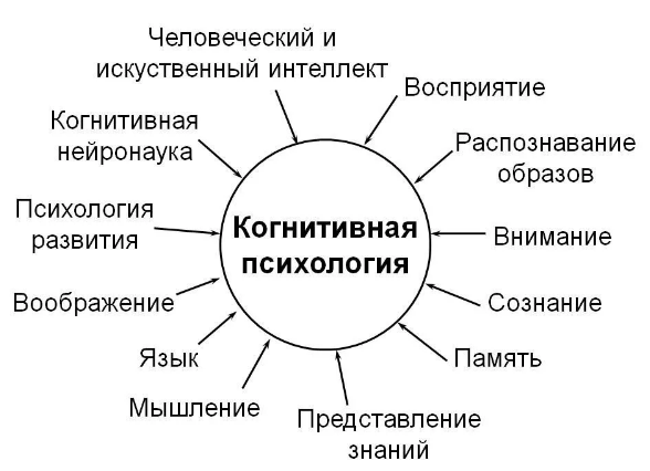 Когнитивная психология и логика - Когнитивное развитие человека