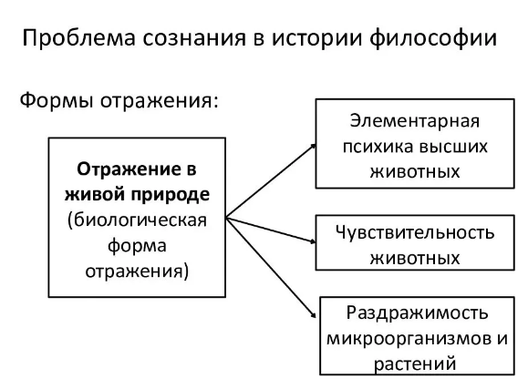 Концепции сознания - Проблема сознания в истории философии