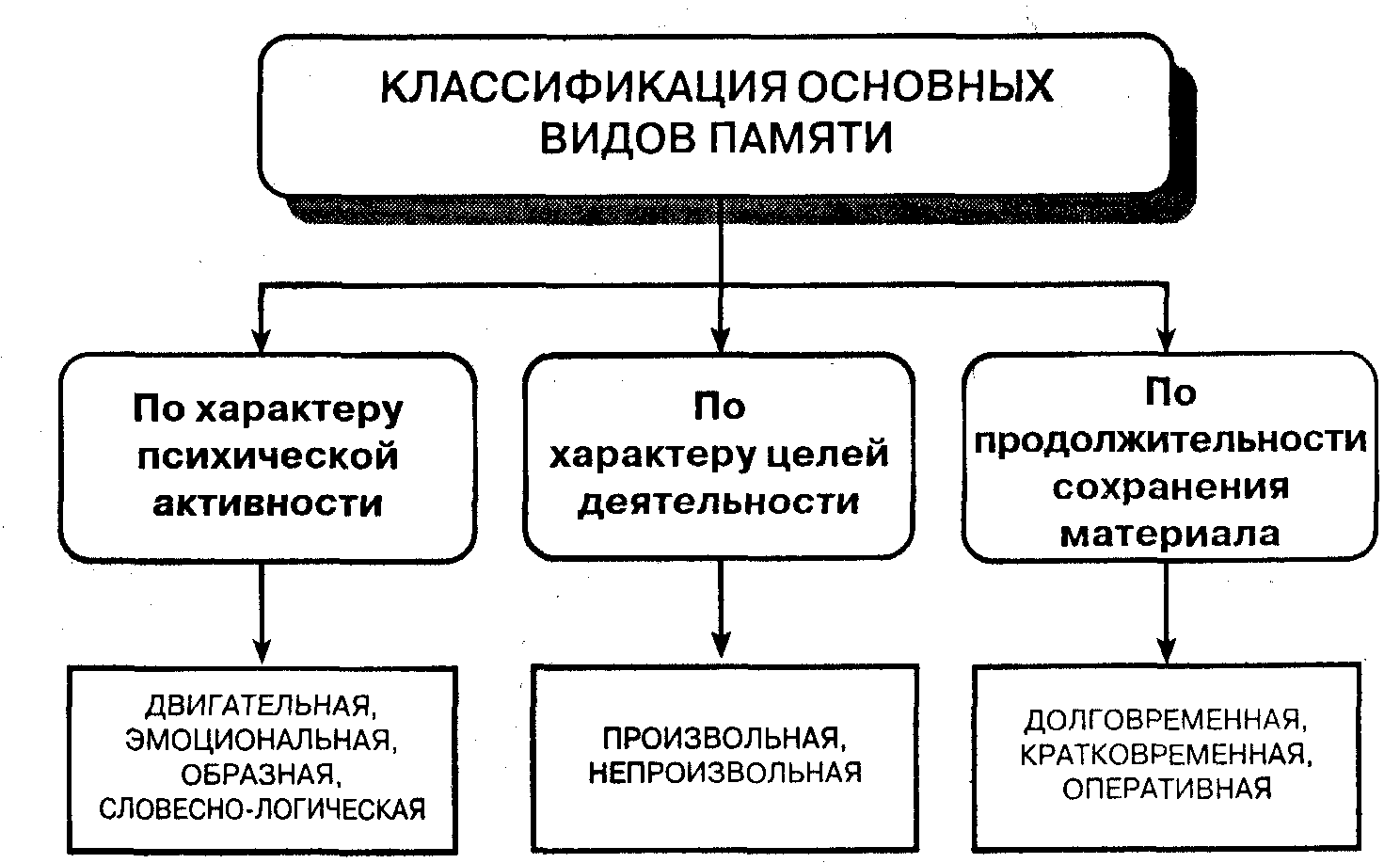 Основные виды памяти - Индивидуальные особенности памяти