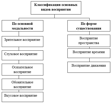 Основные свойства и виды восприятия - Индивидуальные различия в восприятии и его развитие