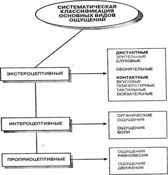 Основные свойства и характеристики ощущений - Чувствительность и ее изменения 