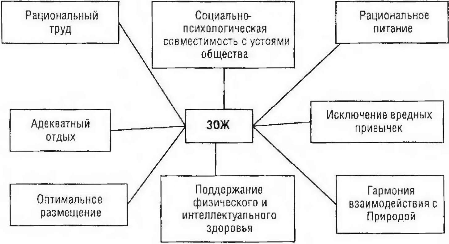 Организация мероприятий, направленных на укрепление здоровья ребенка и его физическое развитие - Система физического воспитания в дошкольных учреждениях: Цели, задачи, средства