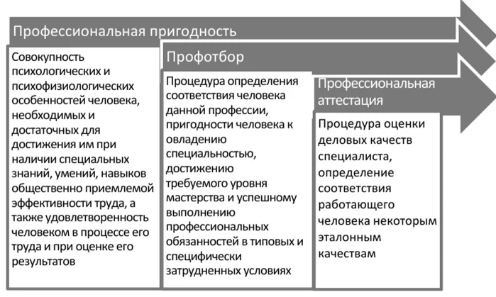 Оценка профессиональной пригодности и психологической совместимости на основе рисунка личности - История профориентации