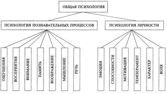 Общая психология - Общая характеристика и возможные классификации методов, применяемых в исследовательской и практической работе психолога