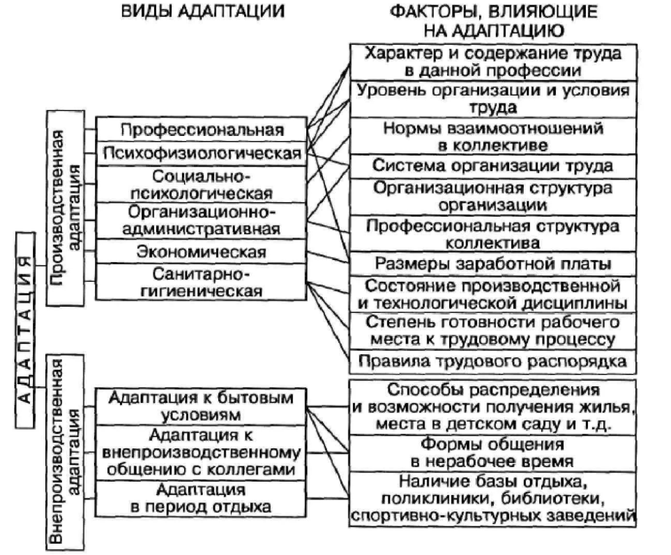 Организация различных видов деятельности и общения детей - Концепция раннего детства в учебно-психологической литературе