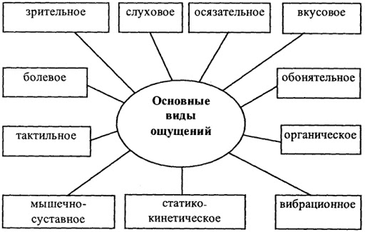 Психология ощущения и восприятия - Виды ощущений