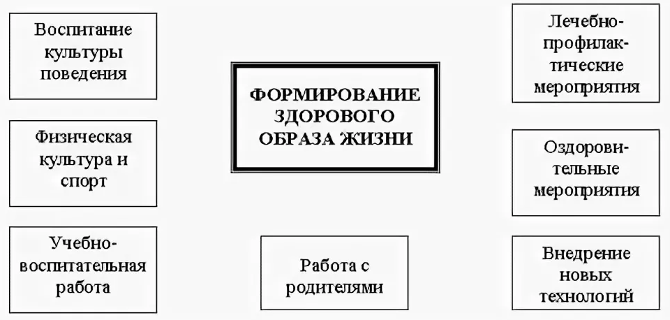 Ориентация на здоровый образ жизни как основа воспитательного процесса