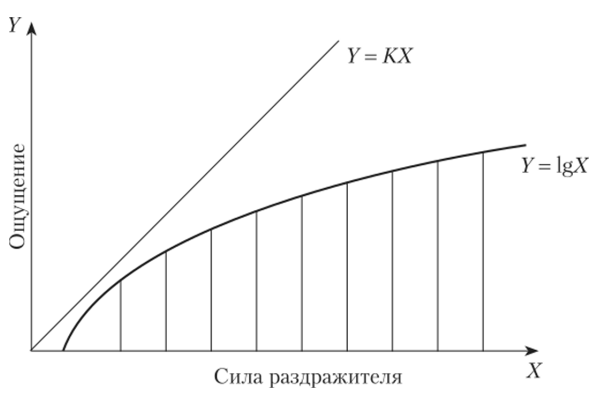 Основной психофизический закон Вебера-Фехнера - Ощущения как познавательный процесс 