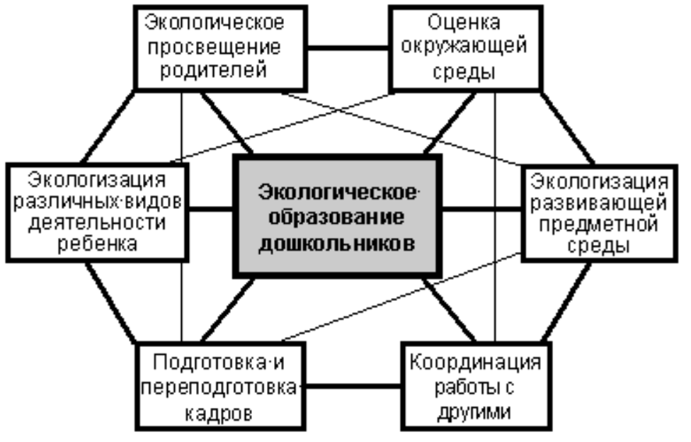 Организация экологического пространства в ДОУ