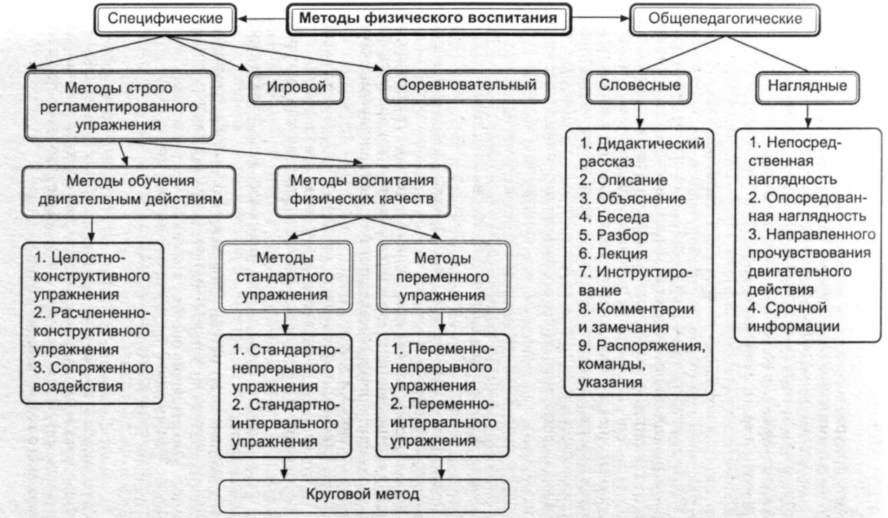 Особенности детей младшего дошкольного возраста - Психологические и образовательные характеристики детей дошкольного возраста