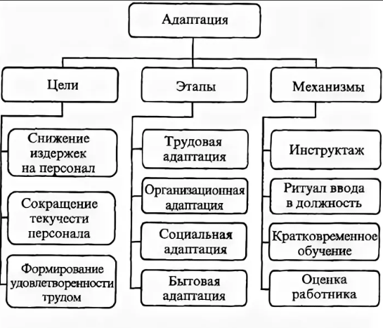 Особенности адаптации новых сотрудников в трудовом коллективе - Сущность и структура рабочей адаптации