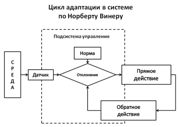 Психические процессы с точки зрения кибернетической науки - Кибернетика. Работа Норберга Винера