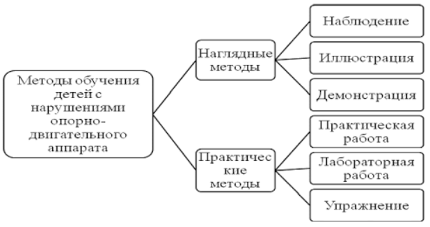 Особенности речевого развития дошкольников с нарушениями функций опорно-двигательного аппарата