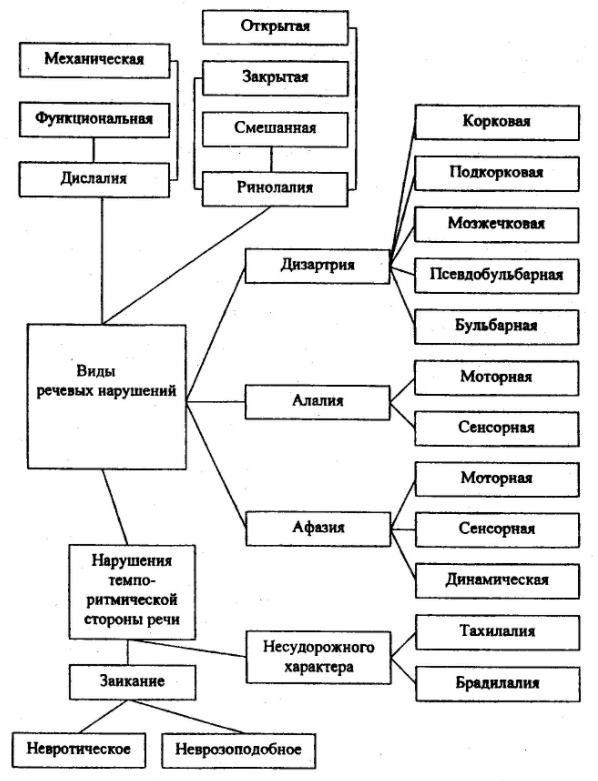 Сенсорное воспитание детей - Содержание сенсорной тренировки