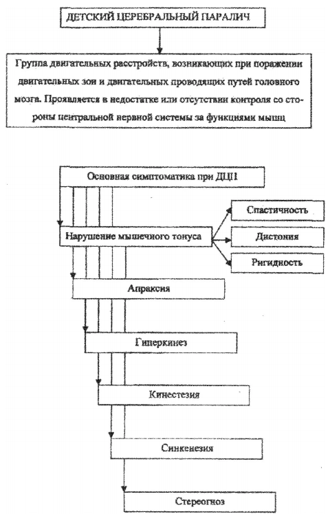 Особенности умственного развития и воспитания дошкольников с ДЦП