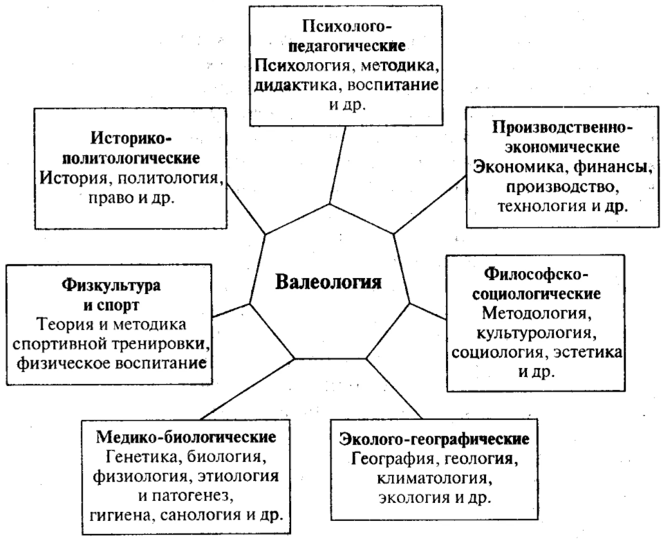 С какими науками связана педагогика - Основные категории педагогики