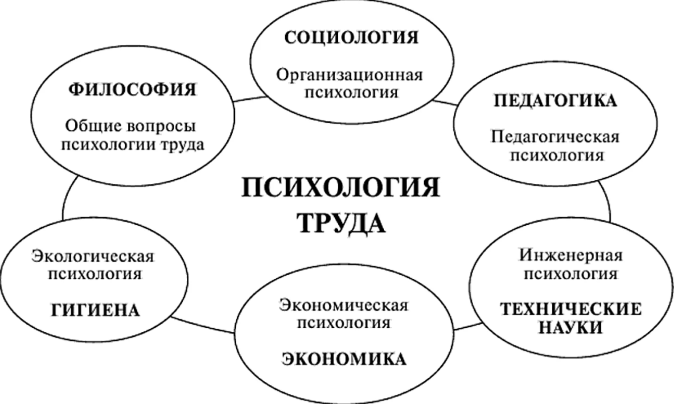 С какими дисциплинами педагогика имеет прямые связи - Предмет и объект педагогики как науки