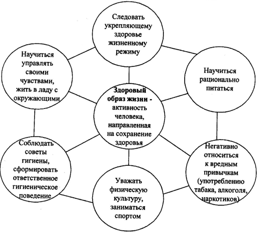 Современные образовательные технологии на уроках физической культуры - Структура физического воспитания