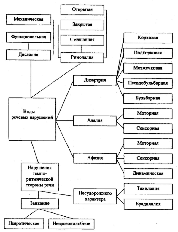 Систематика нарушений в речевом развитии ребенка - Анатомо-физиологические механизмы голосообразования