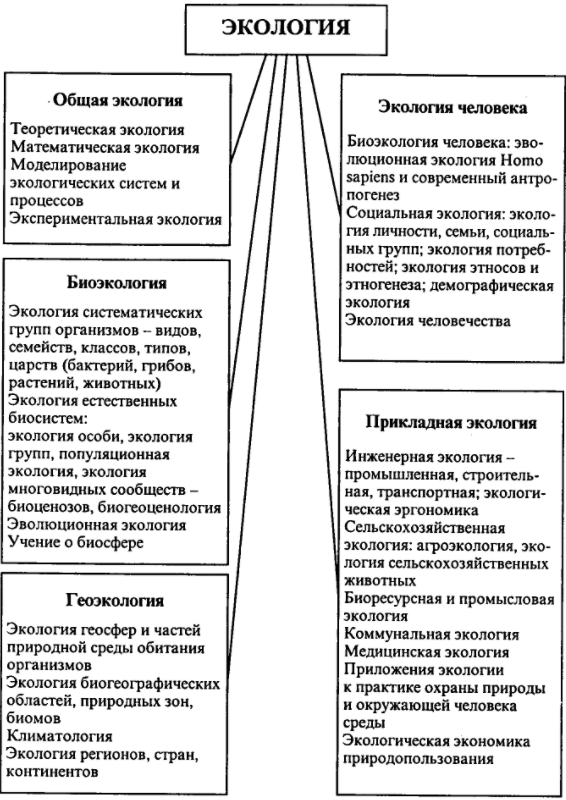 Система экологического воспитания с примерами - Пути продвижения и развития естественно-научного образования