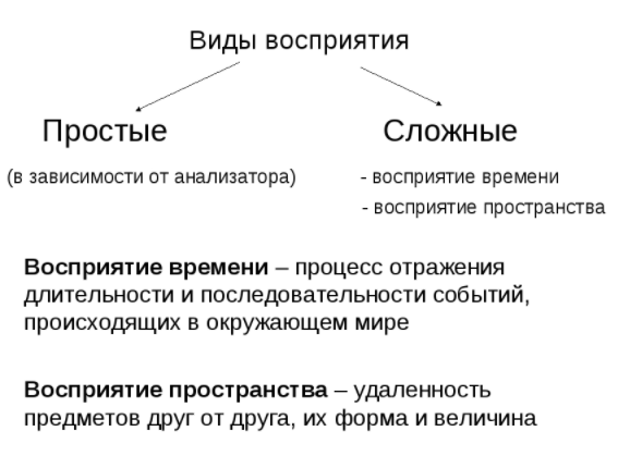 Восприятие и его свойства - Восприятие в свете теории отражения