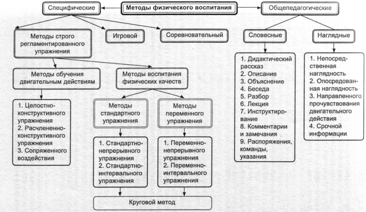 Гармоничность воспитания и образования - Половое воспитание молодежи