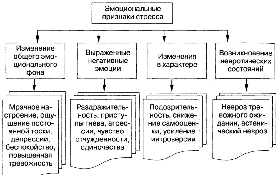 Гендерные различия в формировании и проявлении профессионального стресса