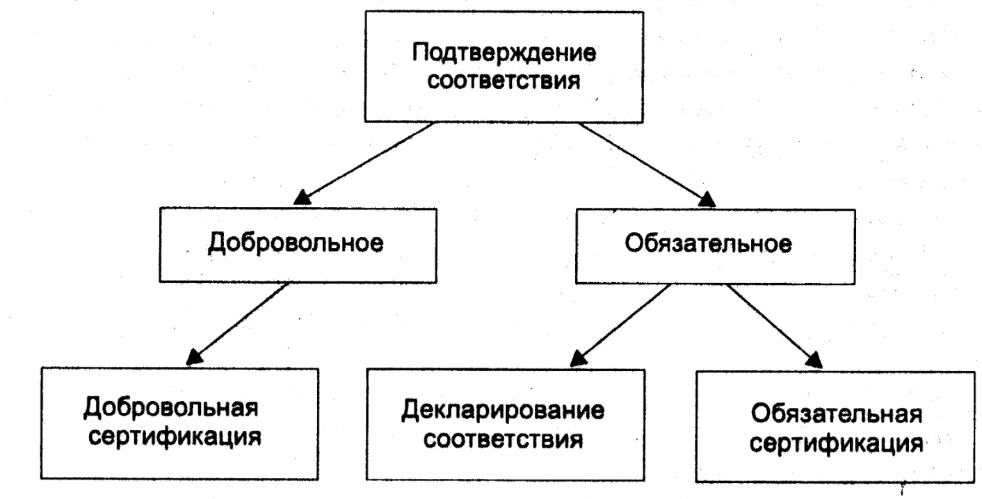 Программированное обучение. Основные принципы и достоинства - Линейная программа