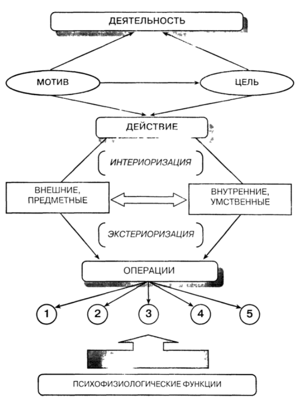 Сущность процесса обучения - Особенности процесса обучения