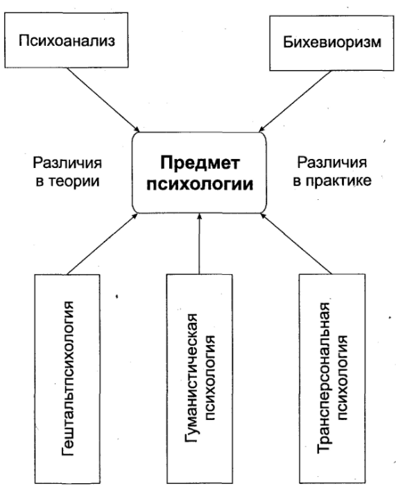 Отрасли педагогики как науки - Сектор педагогики