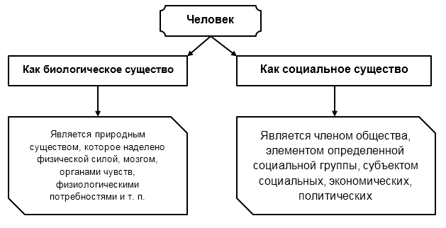 Проблема биологического и социального в развитии психики и поведения человека - Проблема биологического и социального в структуре личности