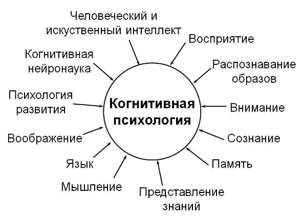 Личность в когнитивной психологии -  Когнитивное развитие человека 