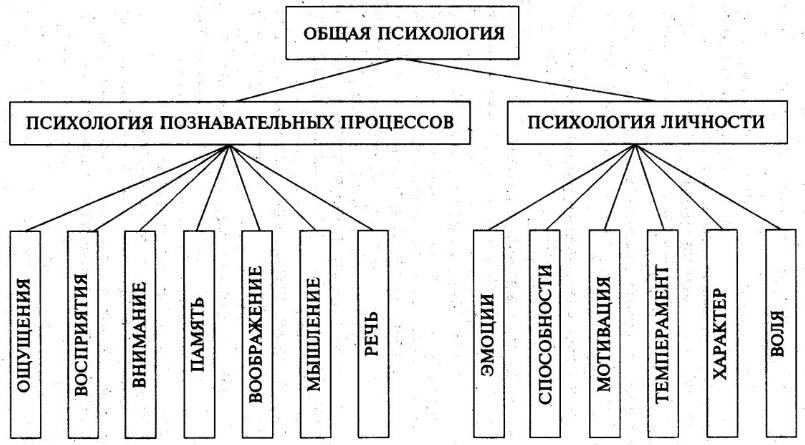 Глоссарий по психологии