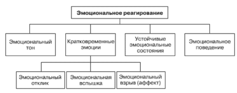 Классификация эмоциональных процессов - Физиологические и поведенческие компоненты эмоций