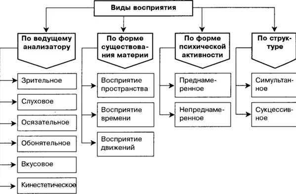 Виды восприятия и методы их изучения - Восприятие как деятельность